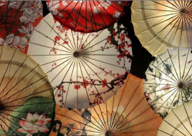 Quartalsbericht_Novum_2Q_2023_D